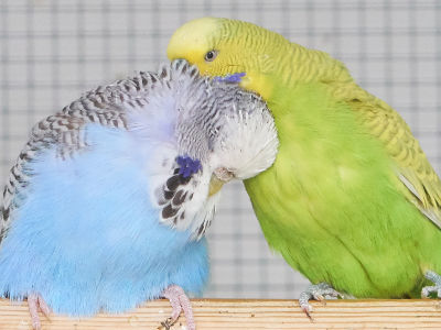 Studie-Die Studienteilnehmer Jaqueline und Leopold